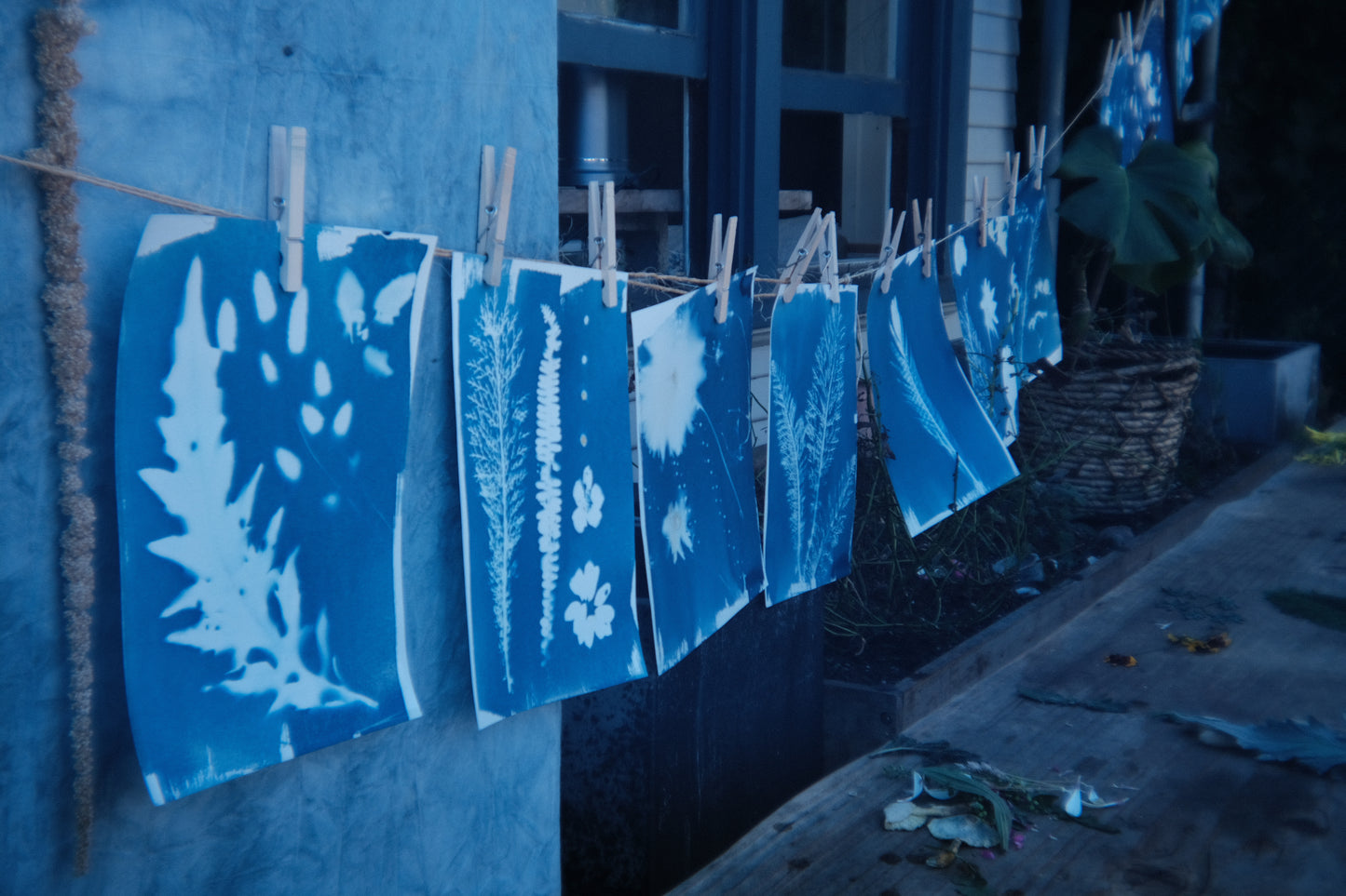 Photo and Botanical Cyanotype Workshop
