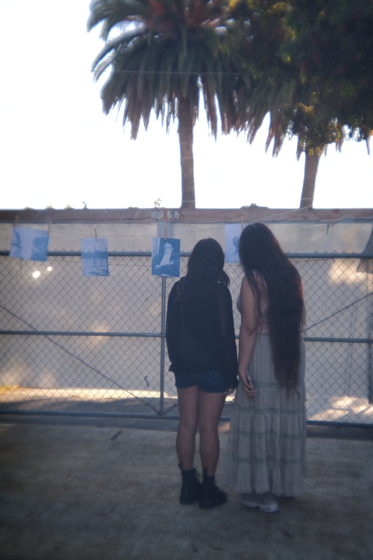 Photo and Botanical Cyanotype Workshop