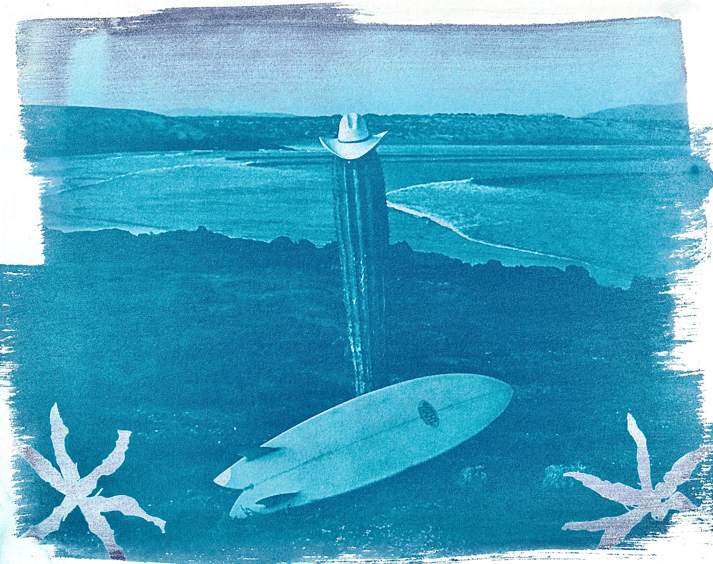 cactus cowboy surfer