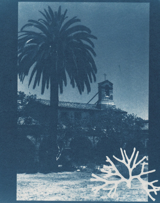 Cyanotype Portfolio 4
