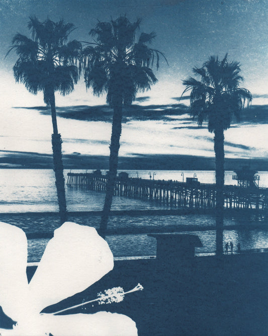 Cyanotype Portfolio 5