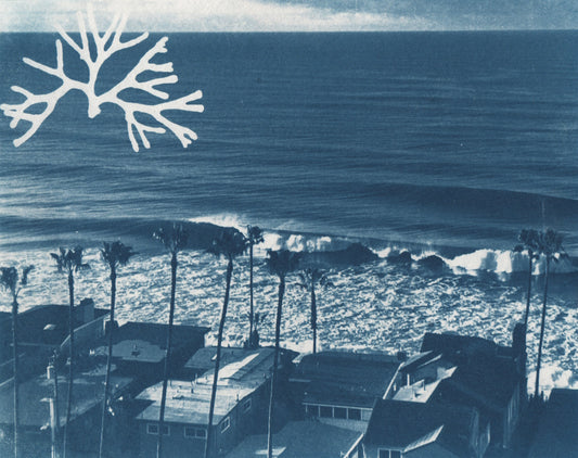 Cyanotype Portfolio 3