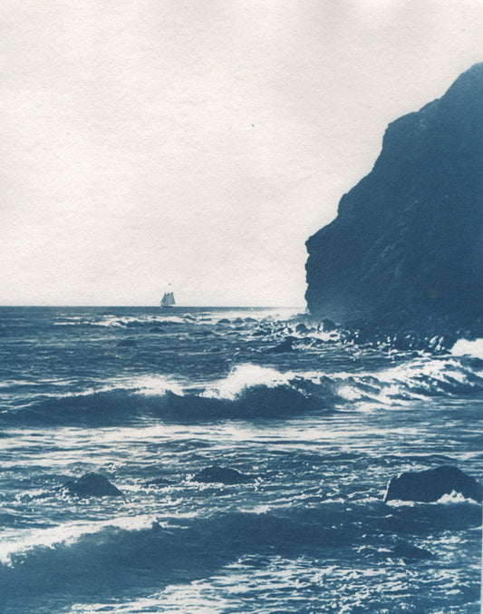 Cyanotype Portfolio 6
