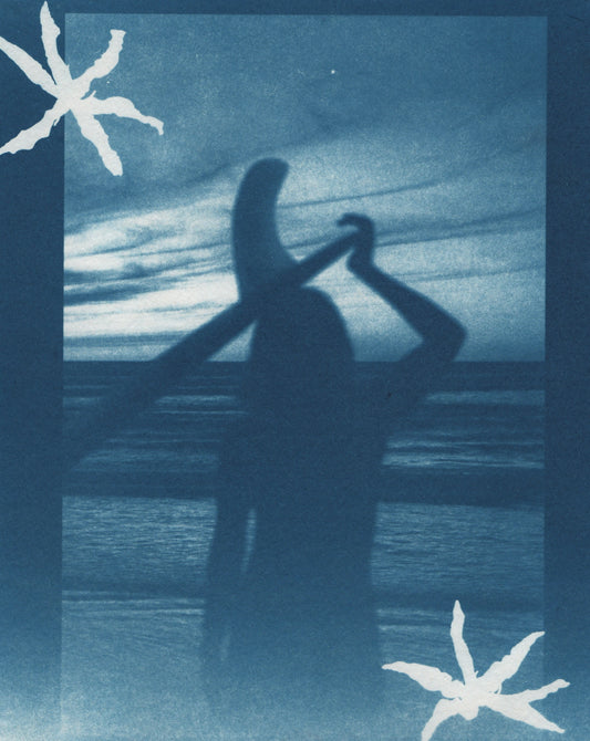 Cyanotype Portfolio 2