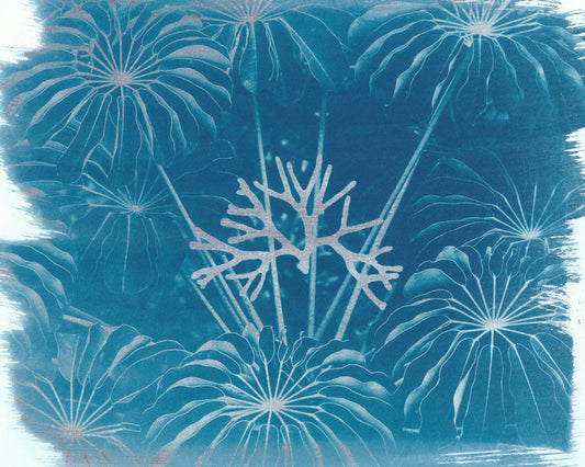 Cyanotype Portfolio 9