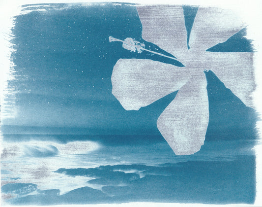 Cyanotype Portfolio 10