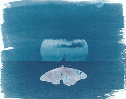 Cyanotype Portfolio 11