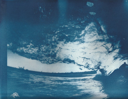 Cyanotype Portfolio 22
