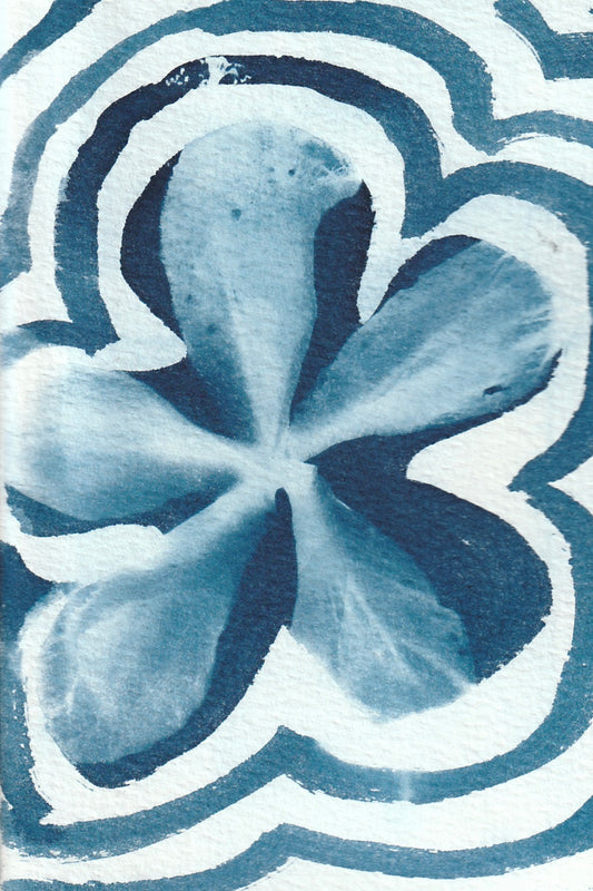 Cyanotype Portfolio 4
