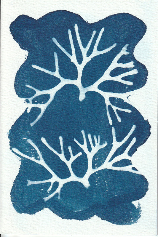 Cyanotype Portfolio 13