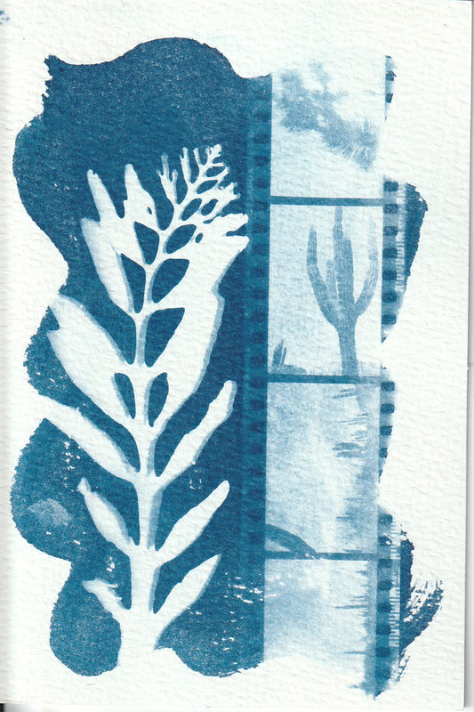 Cyanotype Portfolio 5
