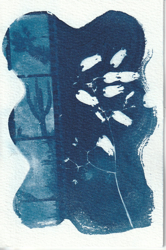 Cyanotype Portfolio 8