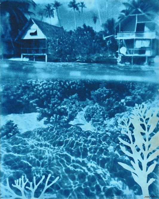 Cyanotype Portfolio 17