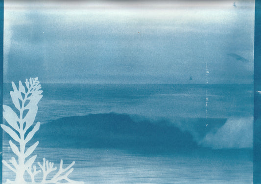 Cyanotype Portfolio 20