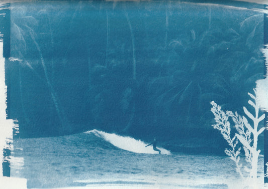 Cyanotype Portfolio 31