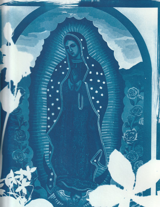 Cyanotype Portfolio 23