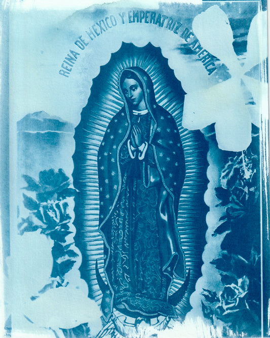 Cyanotype Portfolio 36