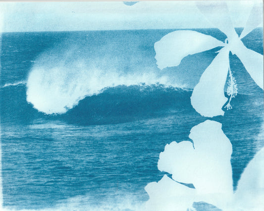 Cyanotype Portfolio 37