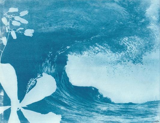 The Wedge
