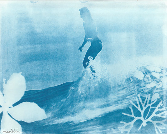Cyanotype Portfolio 26