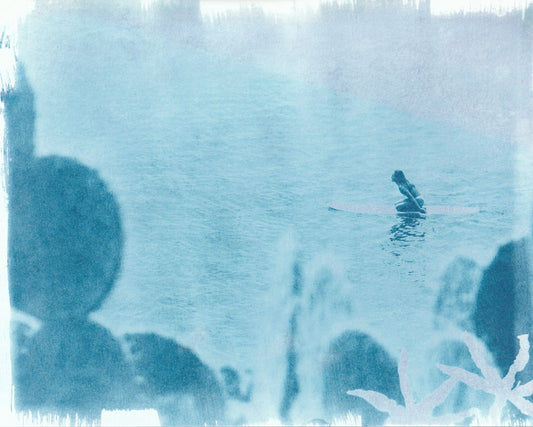 Cyanotype Portfolio 29