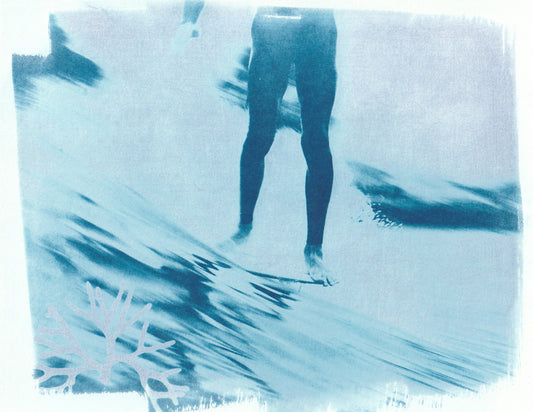 Cyanotype Portfolio 35