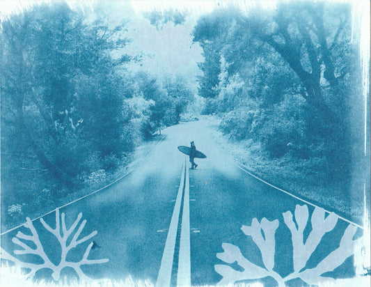 Cyanotype Portfolio 28