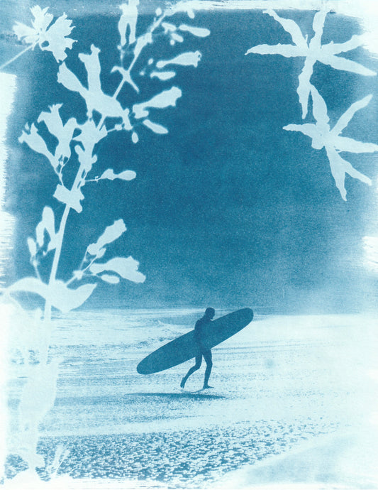 Cyanotype Portfolio 13