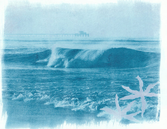 Cyanotype Portfolio 38