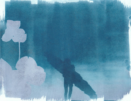 Cyanotype Portfolio 30