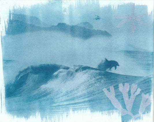 Cyanotype Portfolio 14