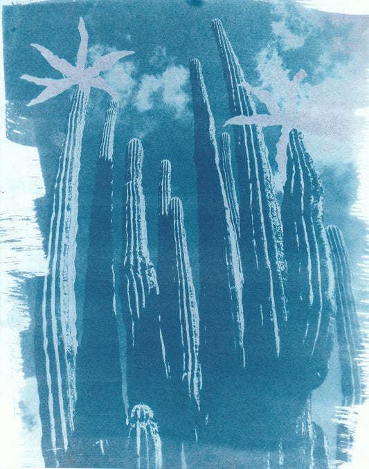 Cyanotype Portfolio 32