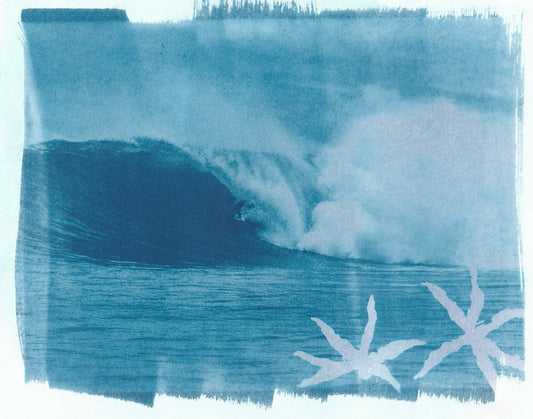 Cyanotype Portfolio 12