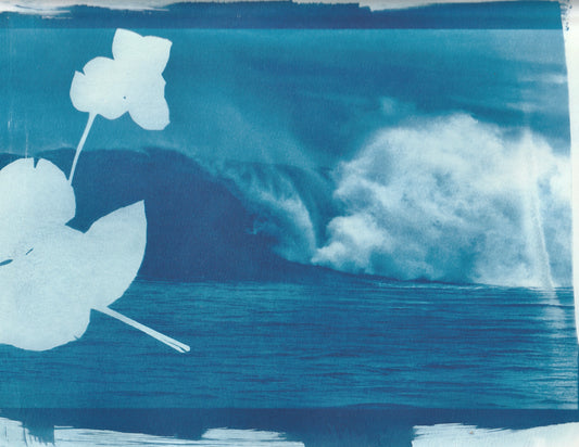 Cyanotype Portfolio 18