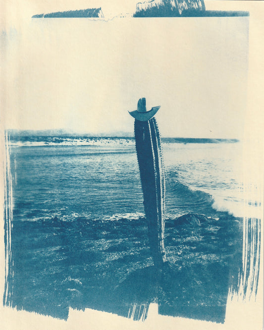 Cyanotype Portfolio 21