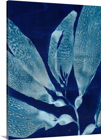 giant kelp on canvas